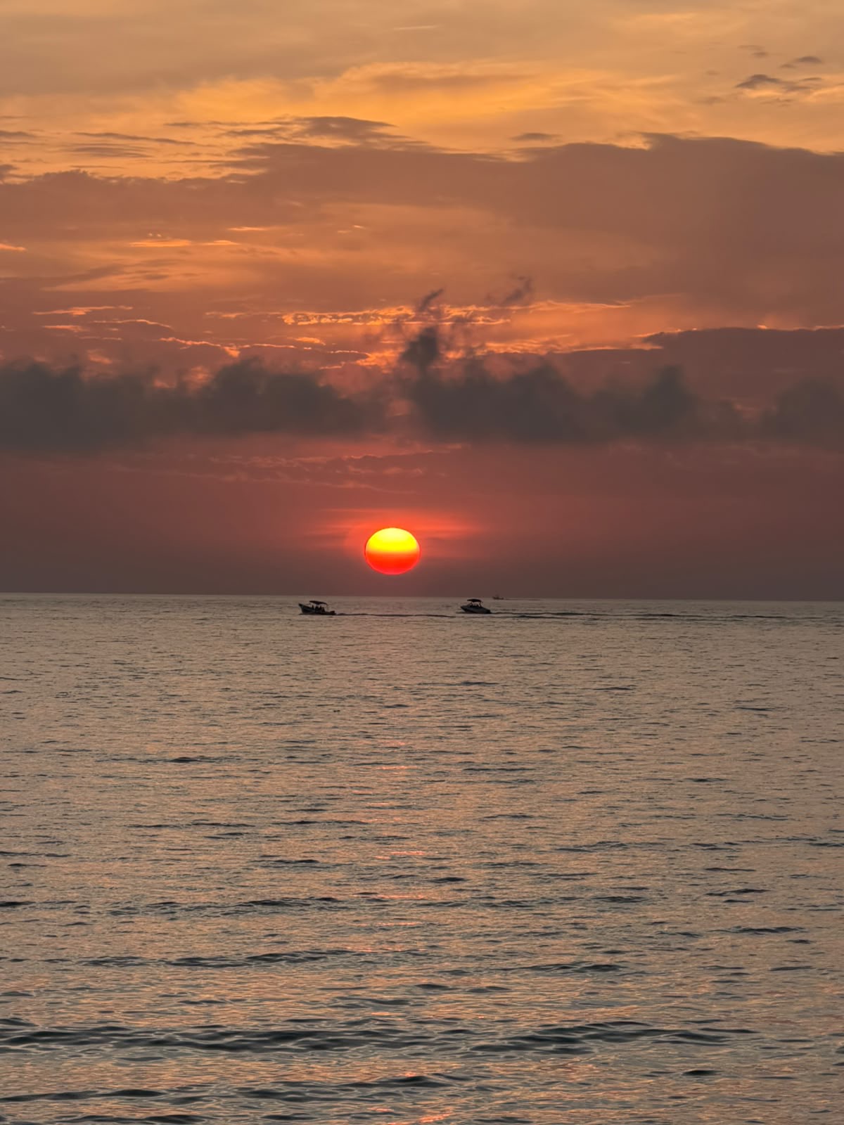 Atardecer naranja sobre cardones en Baja