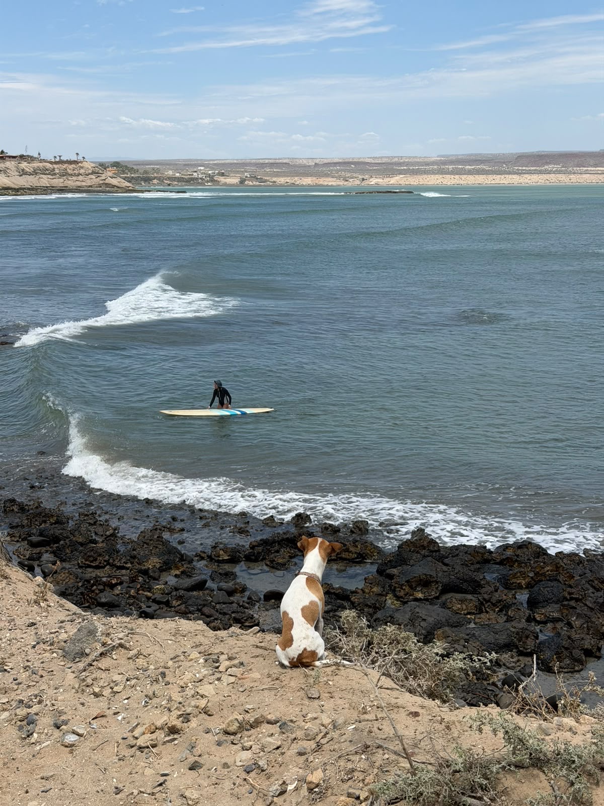 Bere en balance board en la playa de BCS
