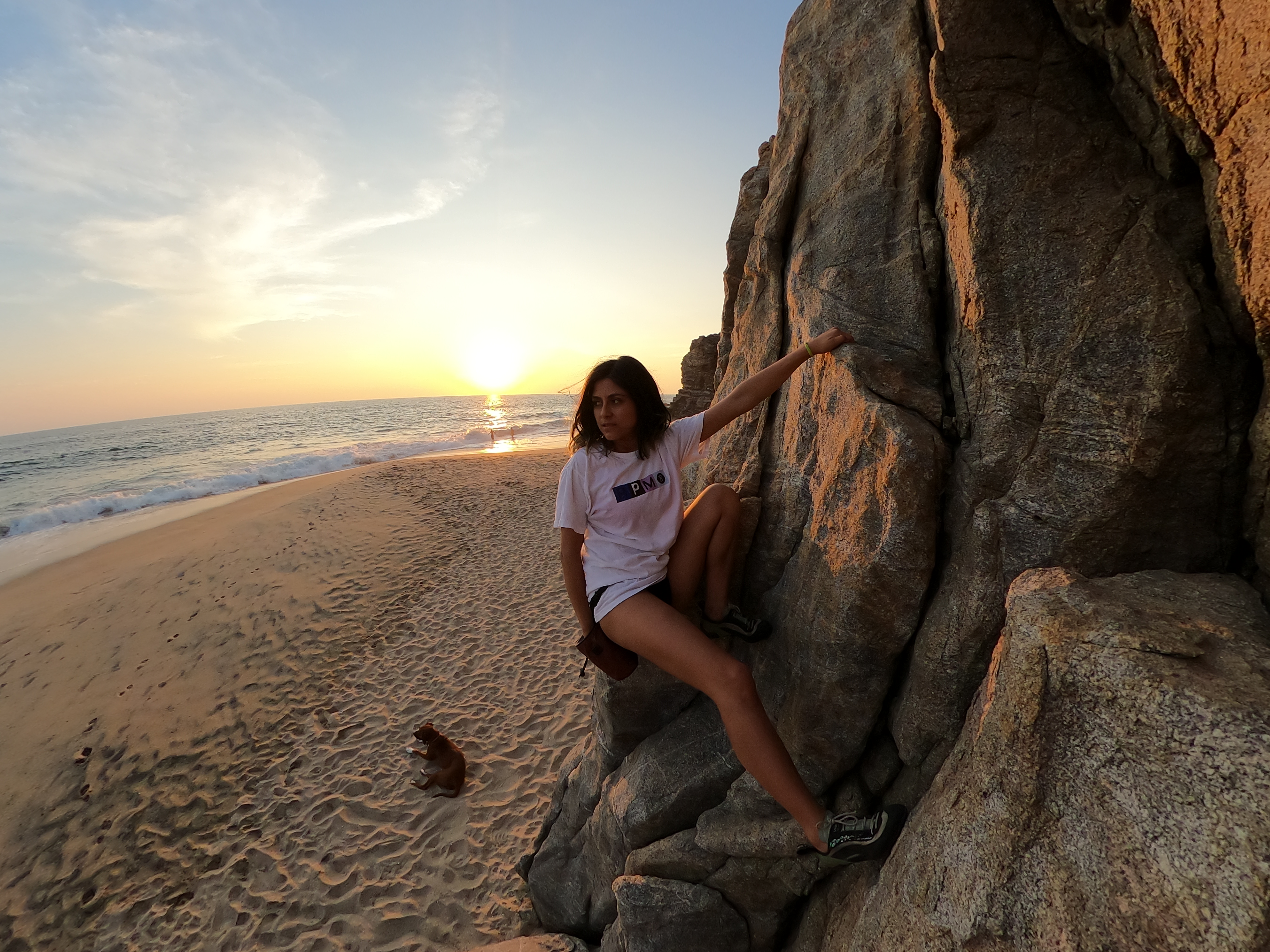 Bere en roca frente al mar al atardecer en BCS