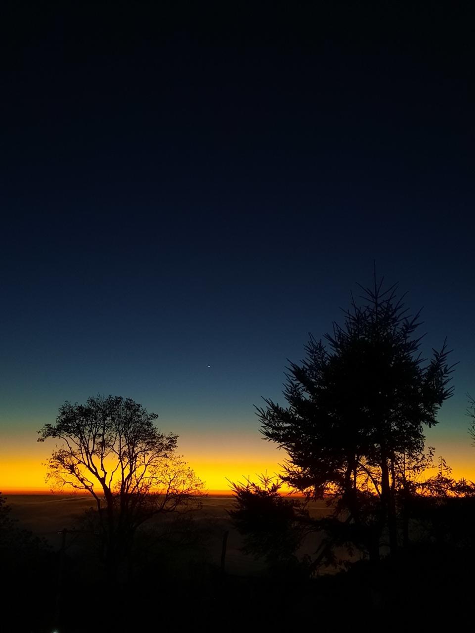 Atardecer negro y naranja con siluetas de árboles