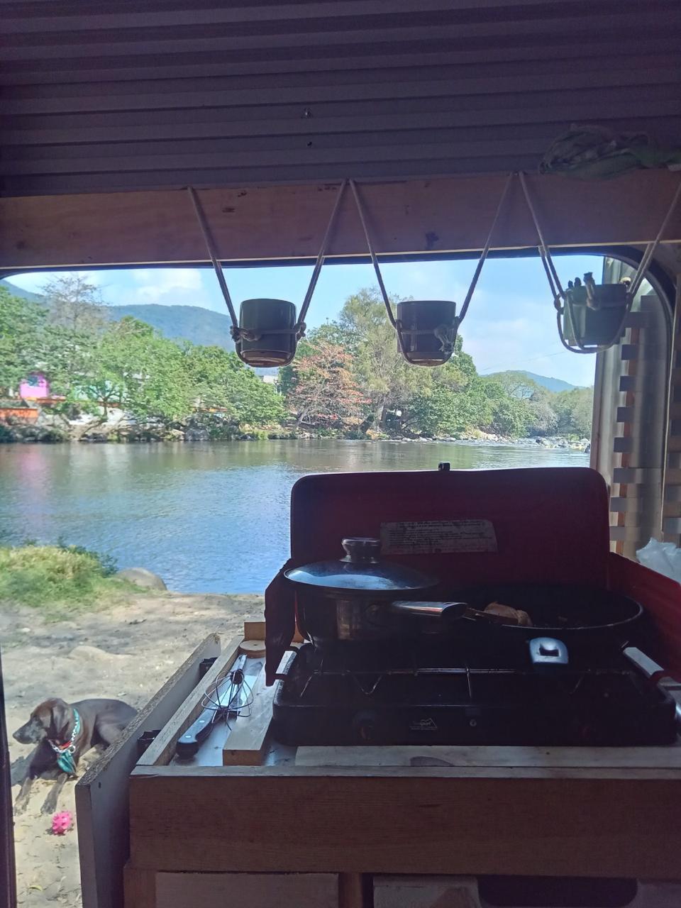 Interior de la van con cocina y vista al río con perro