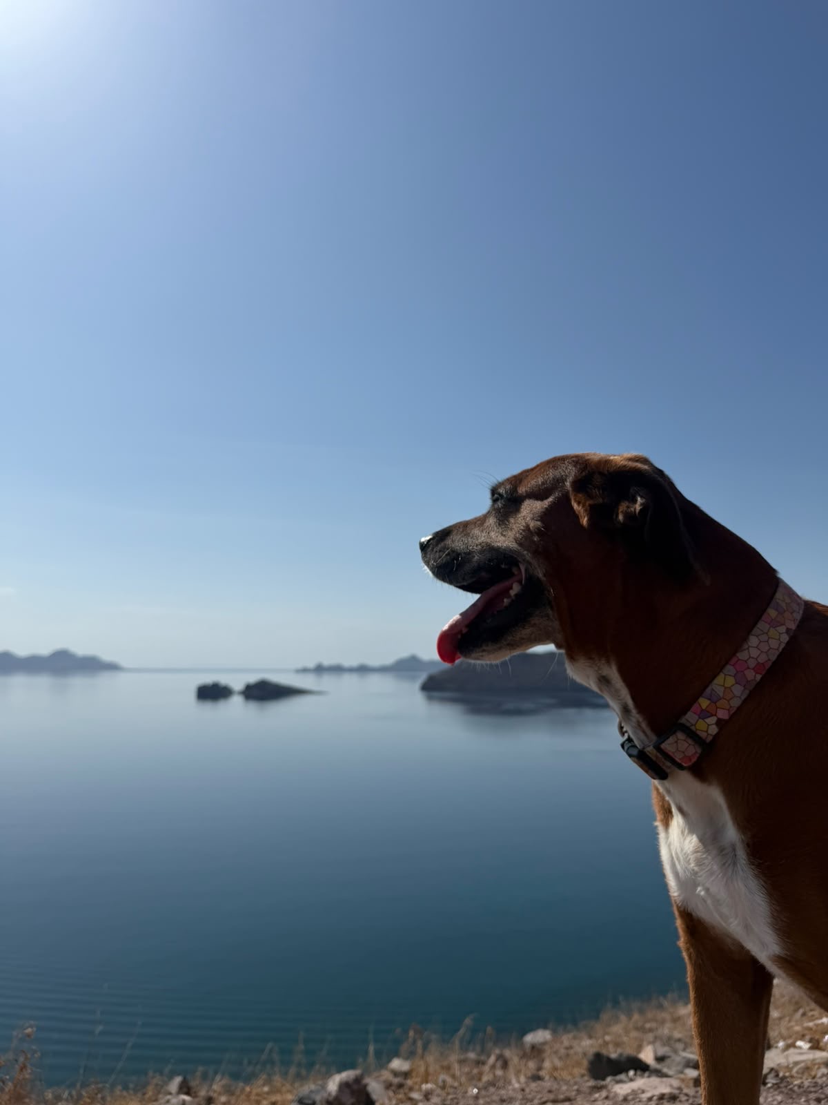 Tadashi en el Mar de Cortés con islas de fondo